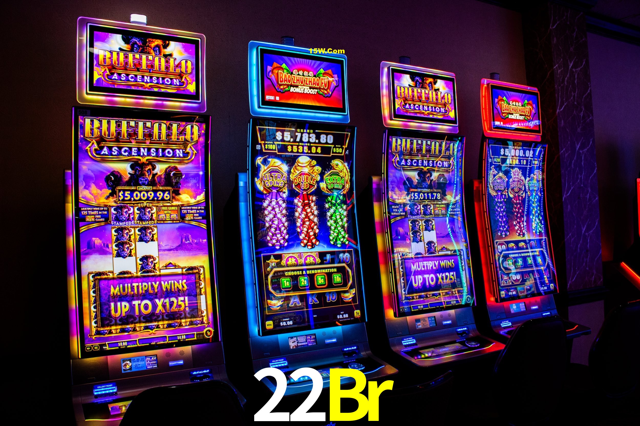 Casino VIP 22Br