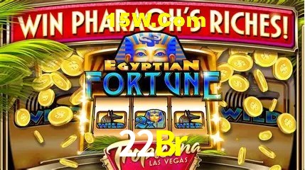 Experiência VIP 22Br